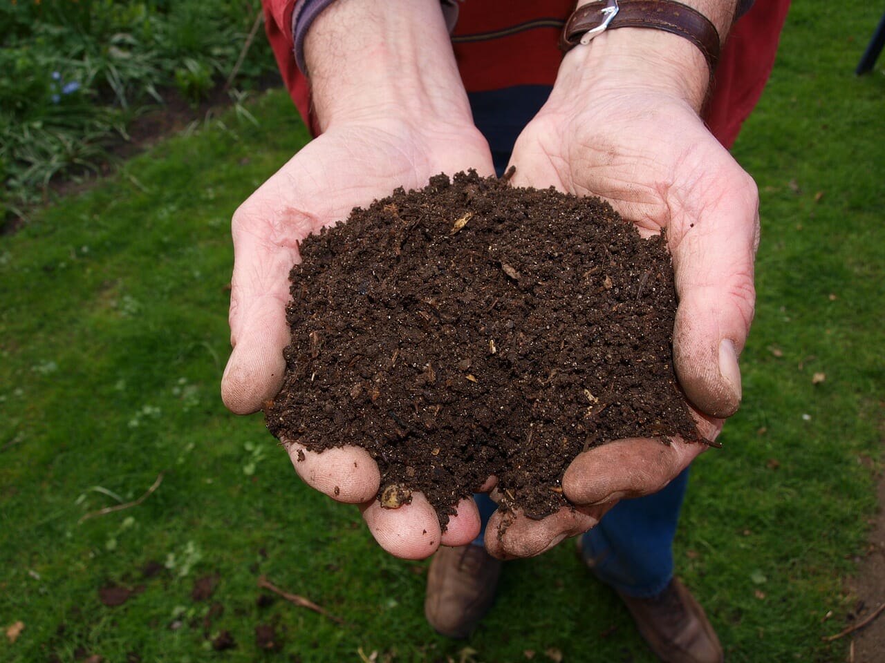 compost